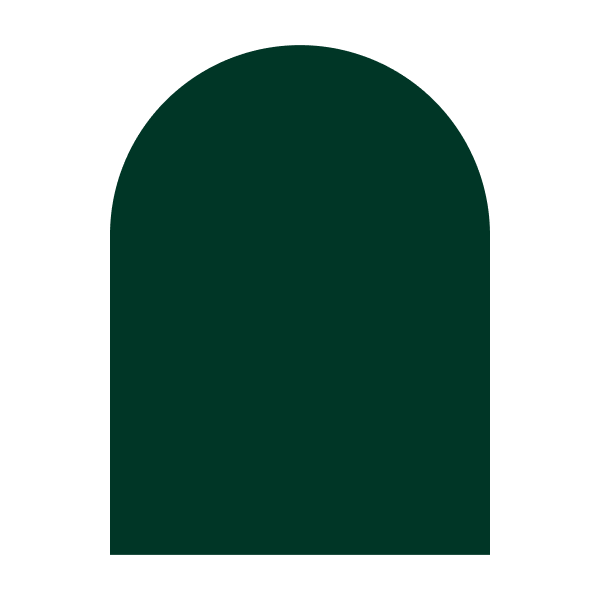 Pitch decks for investors